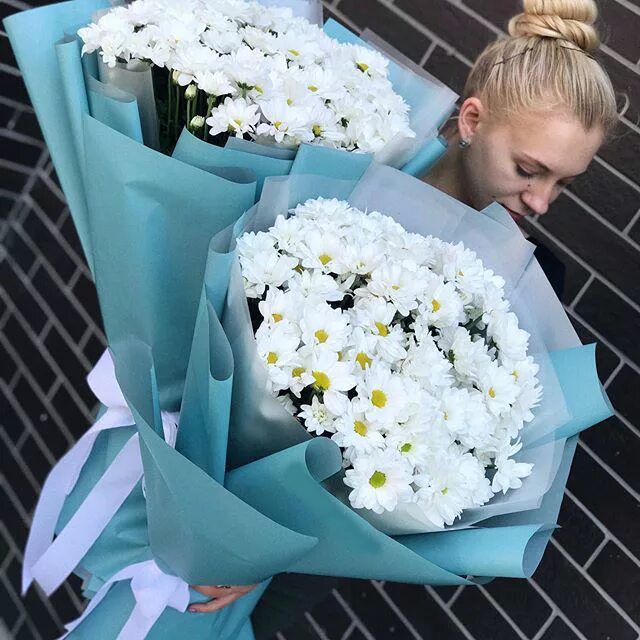 Три кустовые хризантемы букет. Упаковка букета из хризантем. Небольшой букет из хризантем. Букет хризантем в упаковке. Упаковать букет хризантем.