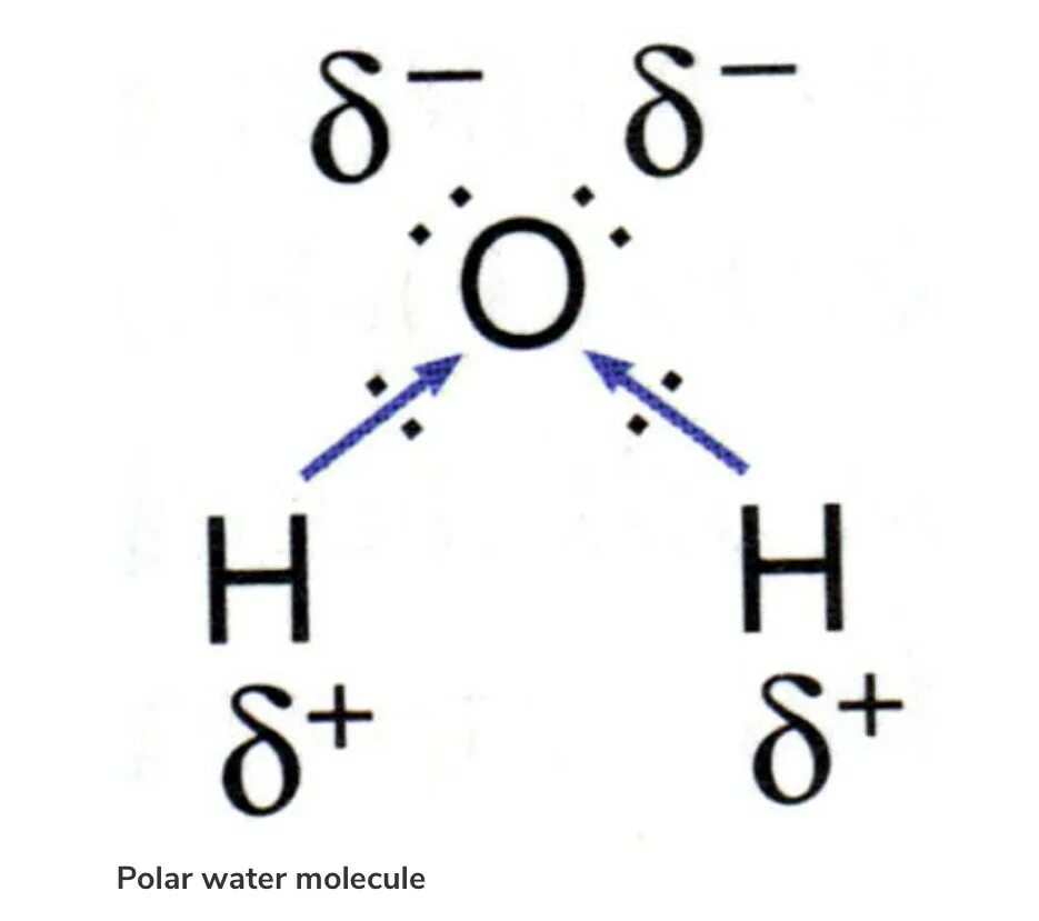Какая связь в молекуле o2. Ковалентная связь h2o2.