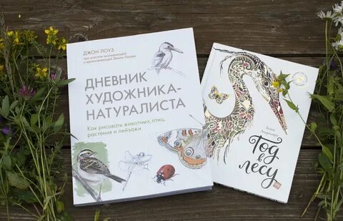 Дневник художника