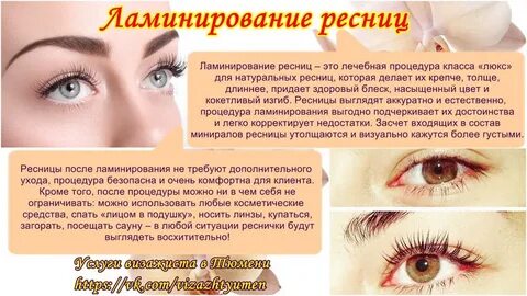 Описание ресничкам