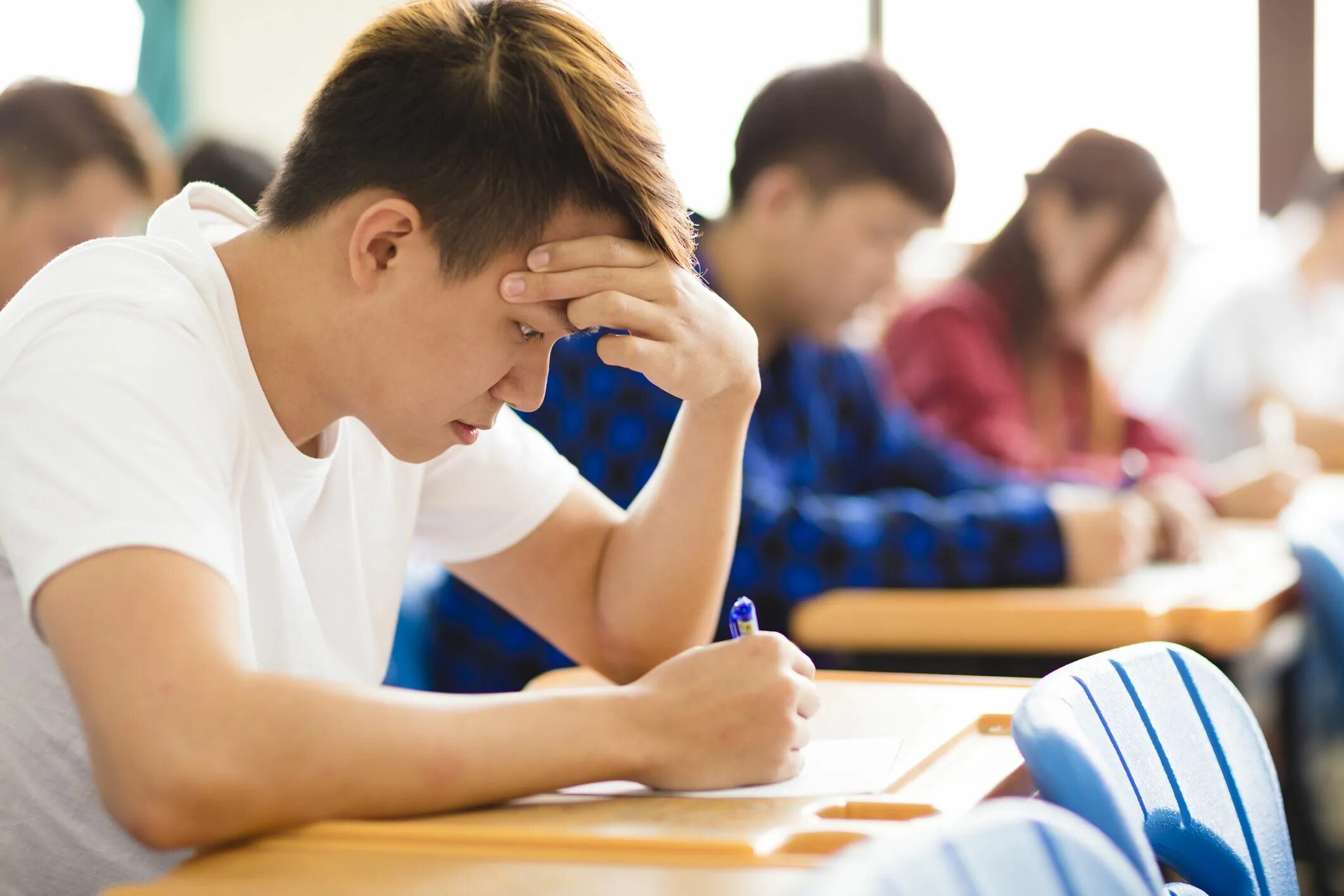 School exams university