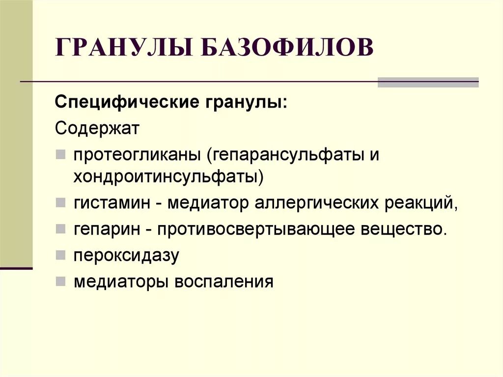 Специфические гранулы содержат. Специфические гранулы базофилов функция. содержание гранул базофилов. специфические гранулы базофилов содержат. химический состав специфических гранул базофилы.