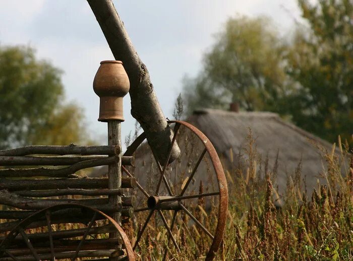 Украина матэ моя. Ридна Черемшина. Ридна Украина мама. Фото рідна мати моя. Украинская ридна мати моя