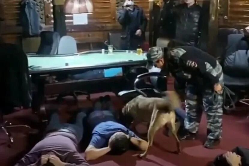 В москве накрыли крупную сеть подпольных. В москве накрыли крупную сеть подпольных