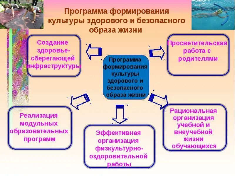 План здорового образа жизни. Воспитание культуры здорового образа жизни. Формирование культуры здорового образа жизни. Программа здорового образа жизни.