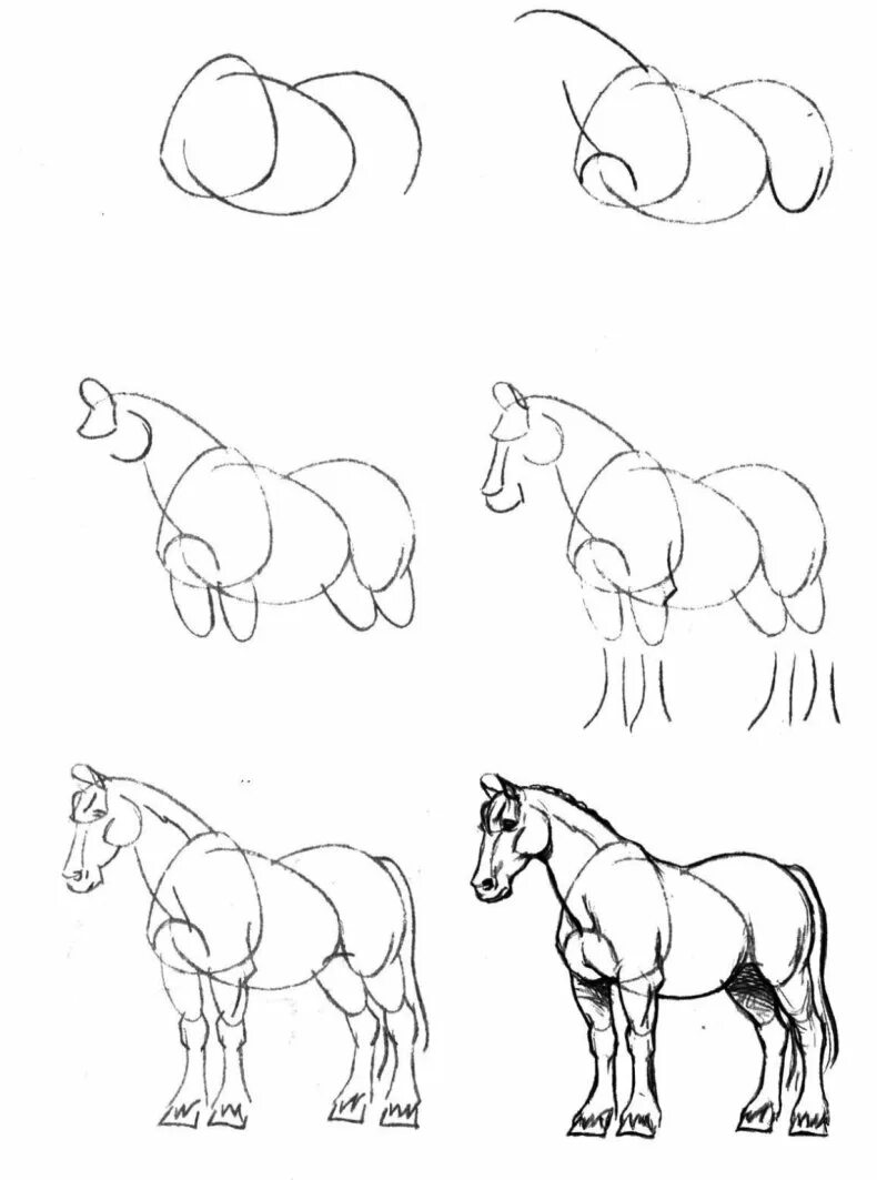 Лошадь карандашом. Поэтапное рисование лошади. Рисунки животных карандашом для начинающих. Рисунки лошади карандашом для начинающих. Срисовки животных легко для начинающих