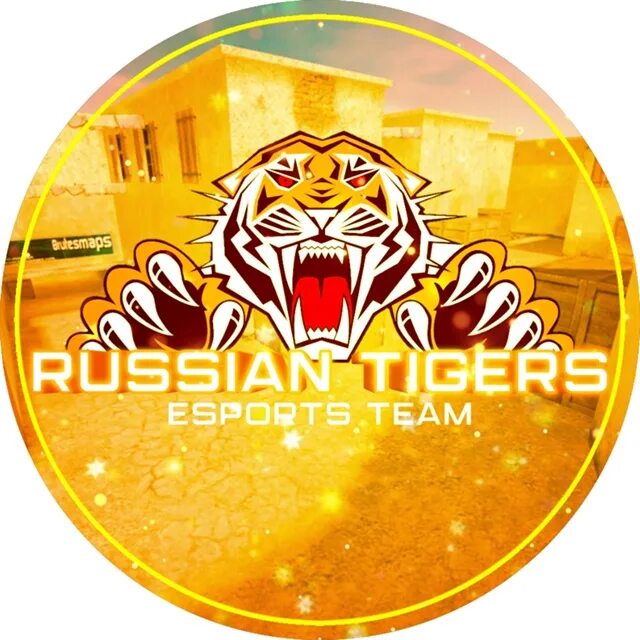 Russian tigers. Russian tigers. Russian tigers. Russian tigers. Русский тигр.