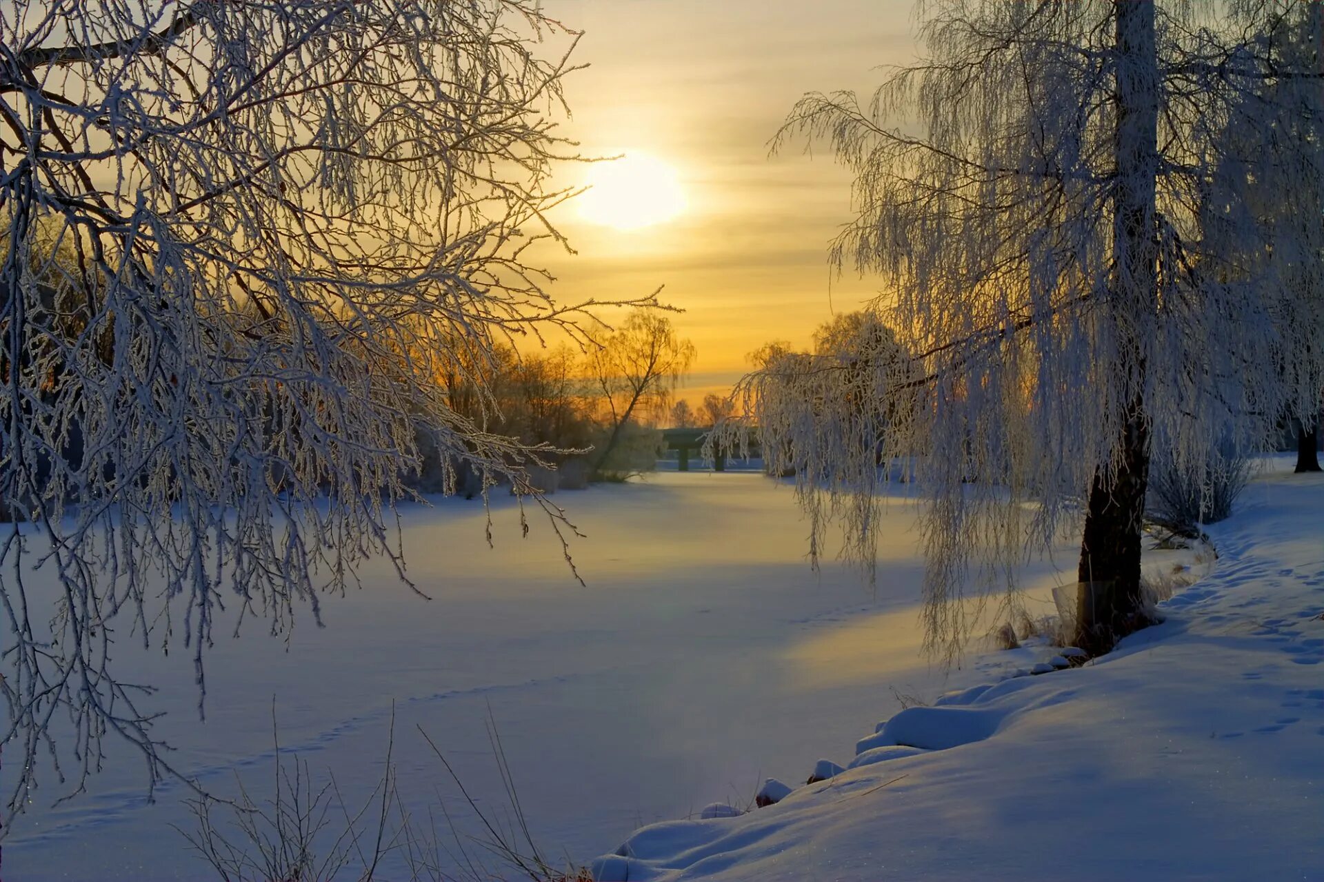 Зимнее утро. Зимний пейзаж. Зимняя природа. Пейзажи природы зима.