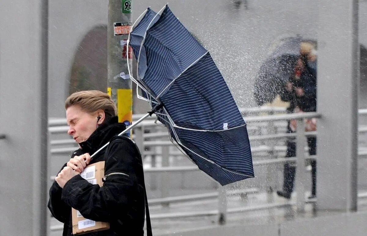 Что делать во время ветра. Сильный ветер. Штормовое предупреждение. Сильный ветер и зонт. Человек с зонтом сильный ветер.