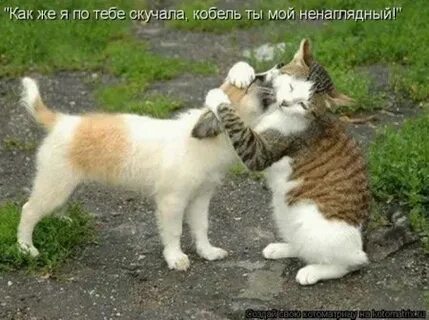 Да рад тебя видеть