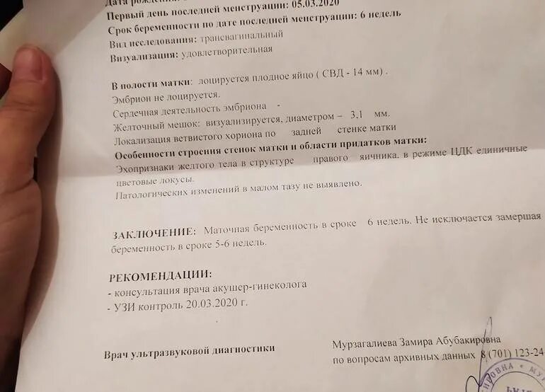 Замершая беременность признаки на ранних сроках. УЗИ при замершей беременности. Заключение УЗИ выкидыш. Справка о выкидыше на раннем сроке. УЗИ после выкидыша на ранних сроках.