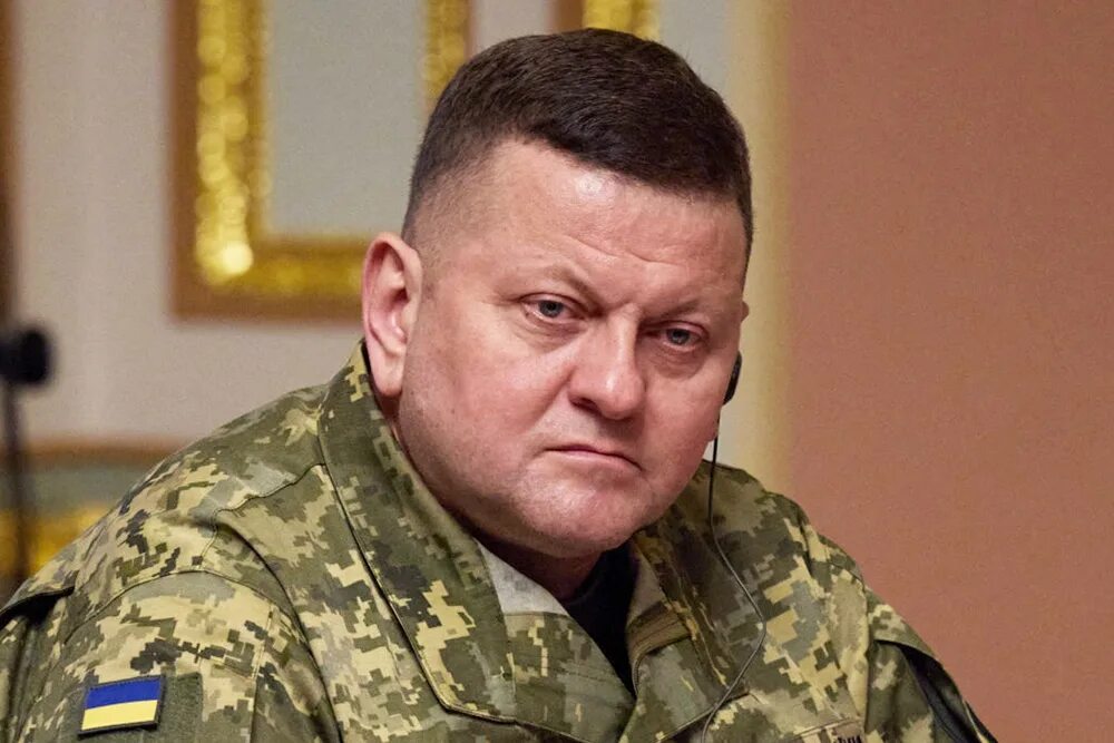 Валерием федоровичем залужным
