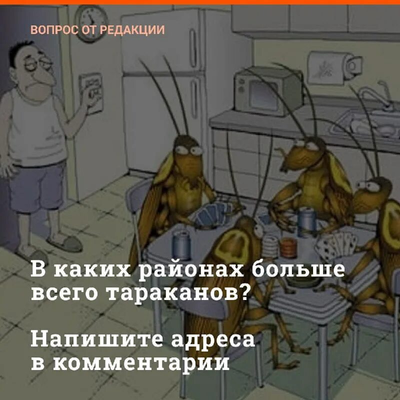 Тараканы пришли от соседей. Тараканы пришли от соседей. Маленькие тараканы на кухне. Тараканы в подъезде. Тараканы пришли от соседей.