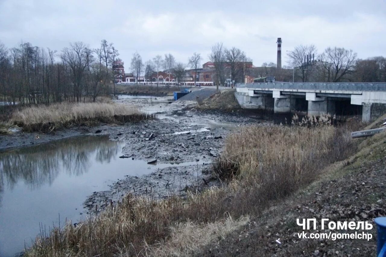 Уровень воды в реке ипуть в добруше. Плотина Добруш Ипуть. Река Ипуть. Добруш Гомель. Плотины на реке СОЖ.