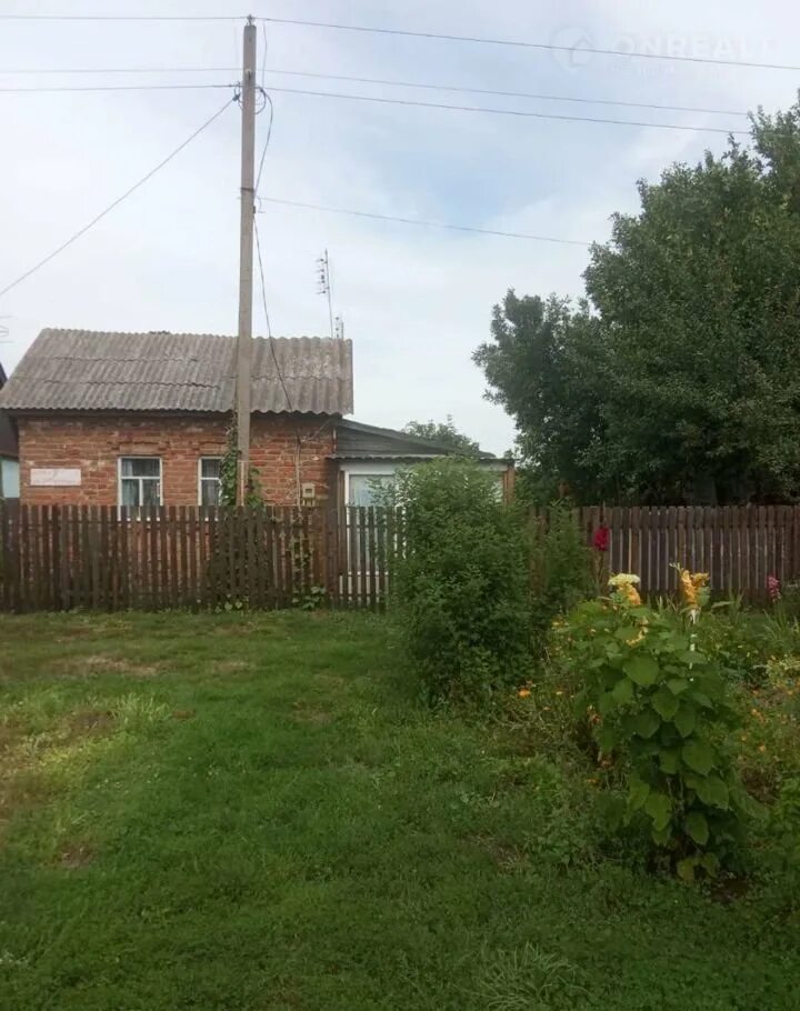Старые деревенские дома. Даньково деревня. Пейзажи села кулига. Деревня ольхи рязанская область. Рязанская область деревенское.