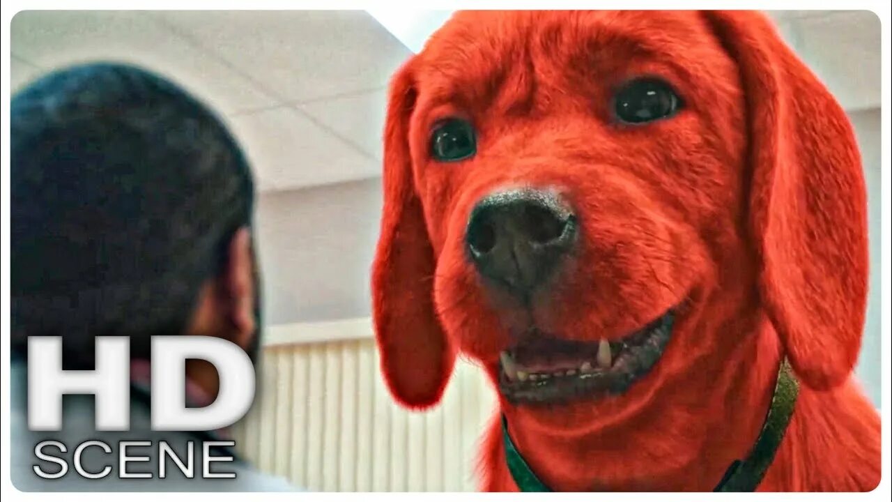 Большой клиффорд 2021. Большой красный пёс Клиффорд трейлер. Красная собака.