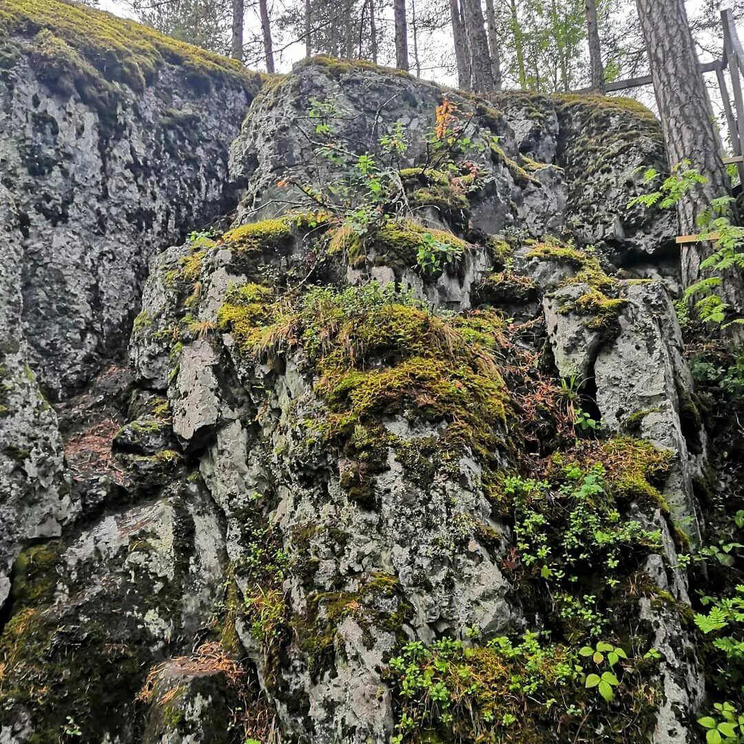 Гора сампо как добраться. Гора сампо карелия. гора сампо петрозаводск. гора сампо смотровая площадка.