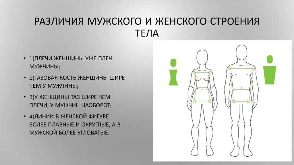 Анатомия мужчины и женщины различия. Различие мужского и женского тела. Анатомические различия мужчины и женщины.