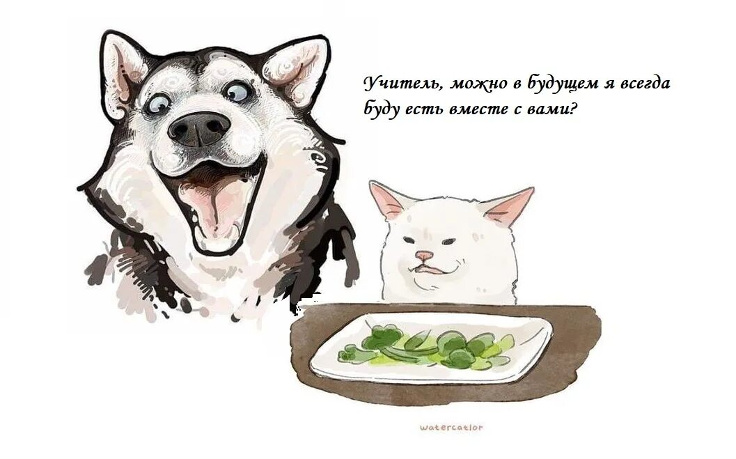 Хаски и его кот учитель. Хаски и его учитель. хаски и белый кот. хаски и учитель кот. хаски и его учитель белый кот приколы.