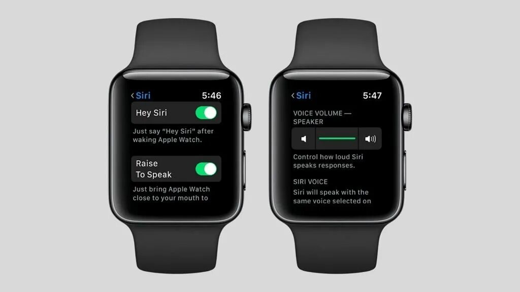 Голосовые сообщения на эппл вотч. Digital crown на эппл вотч. сири на apple watch. siri часы. как включить siri на apple watch.