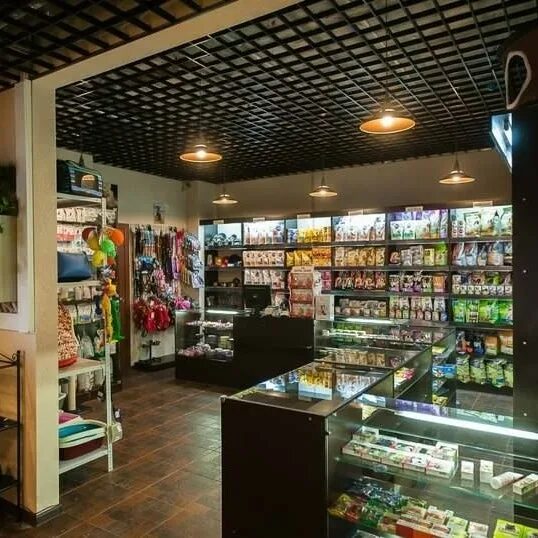 первый зоомагазин красноярск. лемур зоомагазин интернет. ооо амбар спб. зоомагазин парнас. офелия магазин для животных спб.