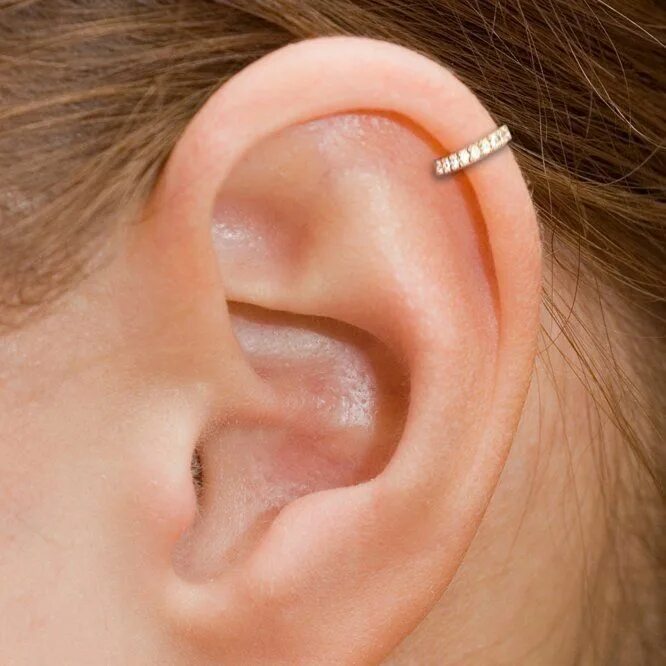 Хеликс змея серьга. Пирсинг уха белое золото. Каффа на хрящ. Хеликс серьги золотые. Прокол форвард хеликс + хеликс.