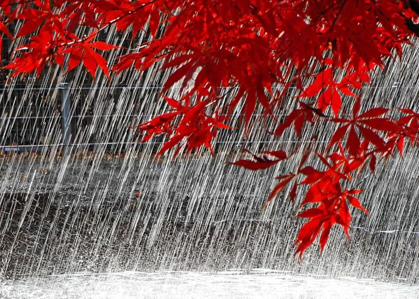 Текст сентябрь дождливый. Осень дождь. Осенний ливень. Ливень осенью. Сильный осенний дождь.