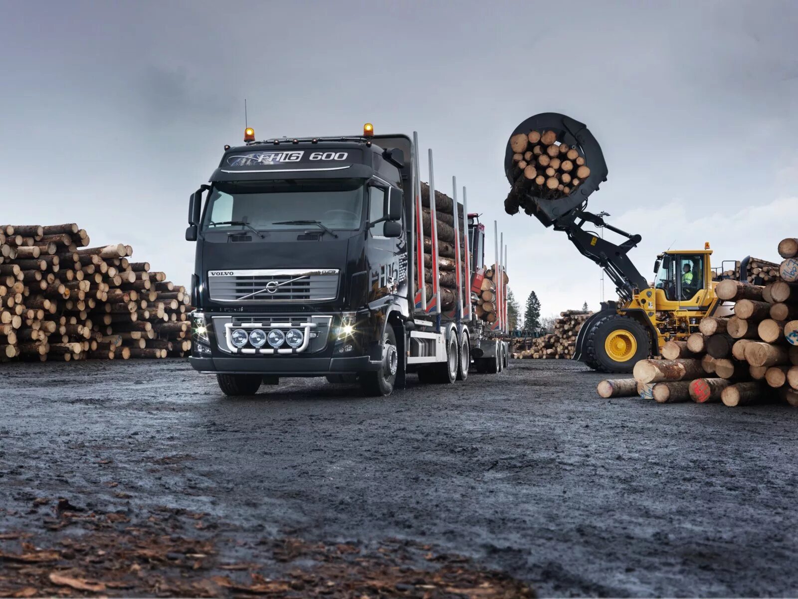 Volvo лесовоз. Вольво грузовик лесовоз. Volvo fh16 сортиментовоз. Трактор Вольво лесовоз. Груженный грузовик