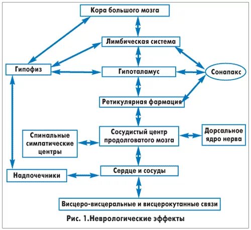 Патогенез вегето сосудистой дистонии у детей. Дистония патогенез. Дистония. Патогенез всд. Вегетативная дистония патогенез.