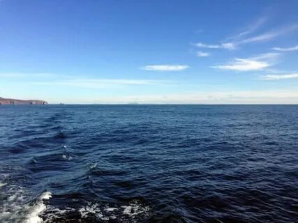 От балтийских берегов до берингова моря