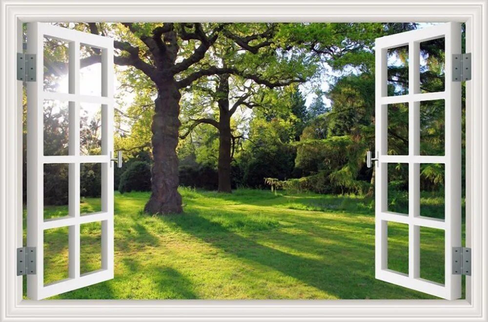 Tree window