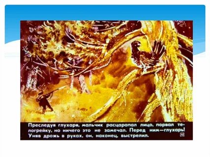 Как васютка отвлек внимание глухаря