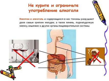 Как курение влияет на пищеварение