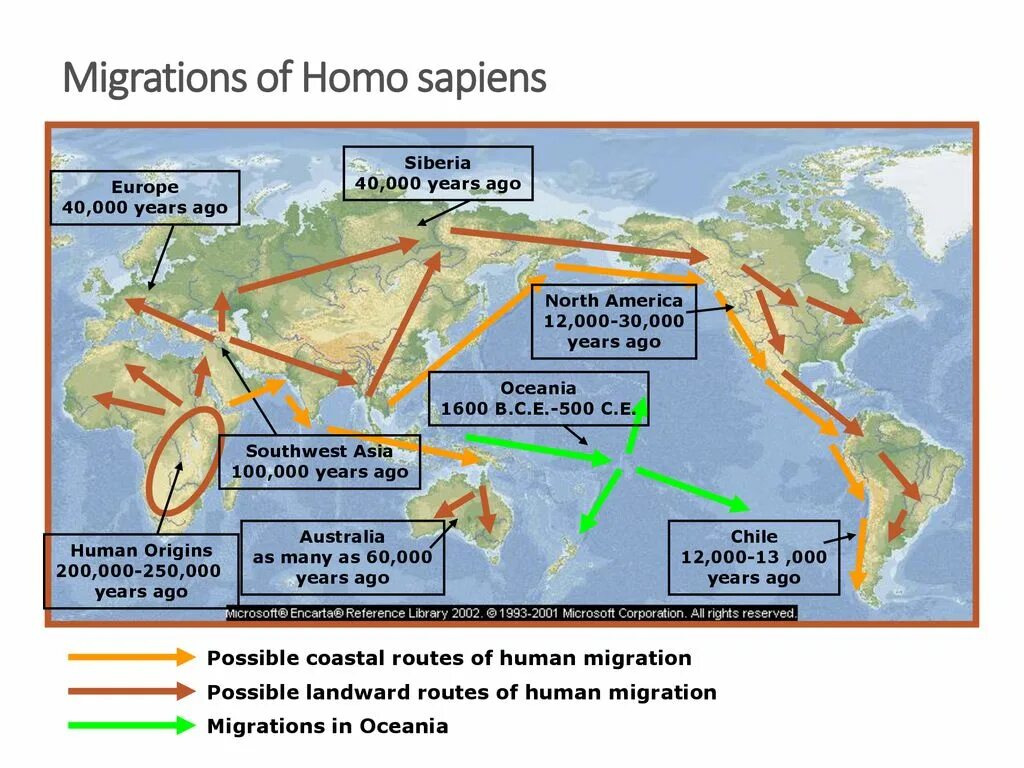 Расселение и миграция. Миграции хомо сапиенс сапиенс. Расселение homo Neanderthalensis. Миграция хомо сапиенс. Расселение homo sapiens.