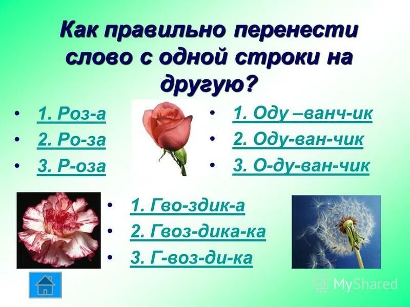 Василек перенос слова. Как правильно переносятся слова. Переносится как правильно переноситься. Как перенести слово радость. Как перенести слово радостный.