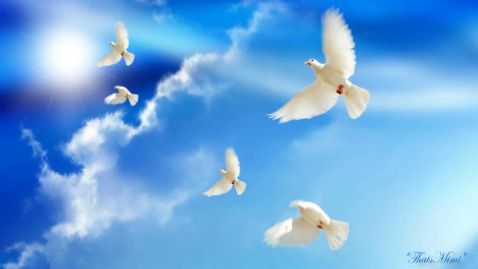 Песня синее небо без войны. Голуби в небе. Голубое мирное небо. Белые голуби в небе.