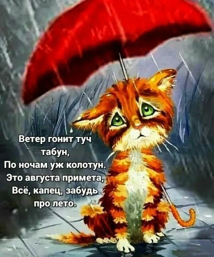 Кот под дождем. Ссдобрым дождливый утрои. Котенок под зонтиком. Котик под зонтом. Невзирая на ветер