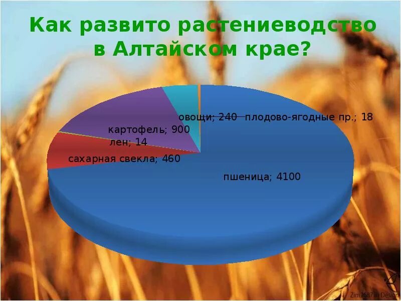 Растениеводство Алтайского края. Отрасли растениеводства Алтайского края. Растениеводство презентация. Полеводство в Алтайском крае. Экономика алтайского края 3 класс окружающий мир