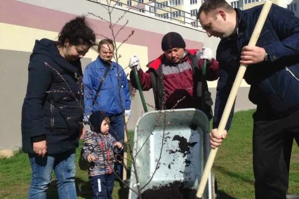 Работа в зеленом городе. Работа в зеленом городе