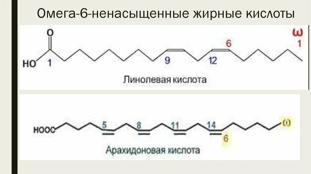 Источники омега 9 жирных кислот тест. Омега 6 жирные кислоты формулы. Линолевая кислота формула Омега 6. Омега 6 жирные кислоты строение.