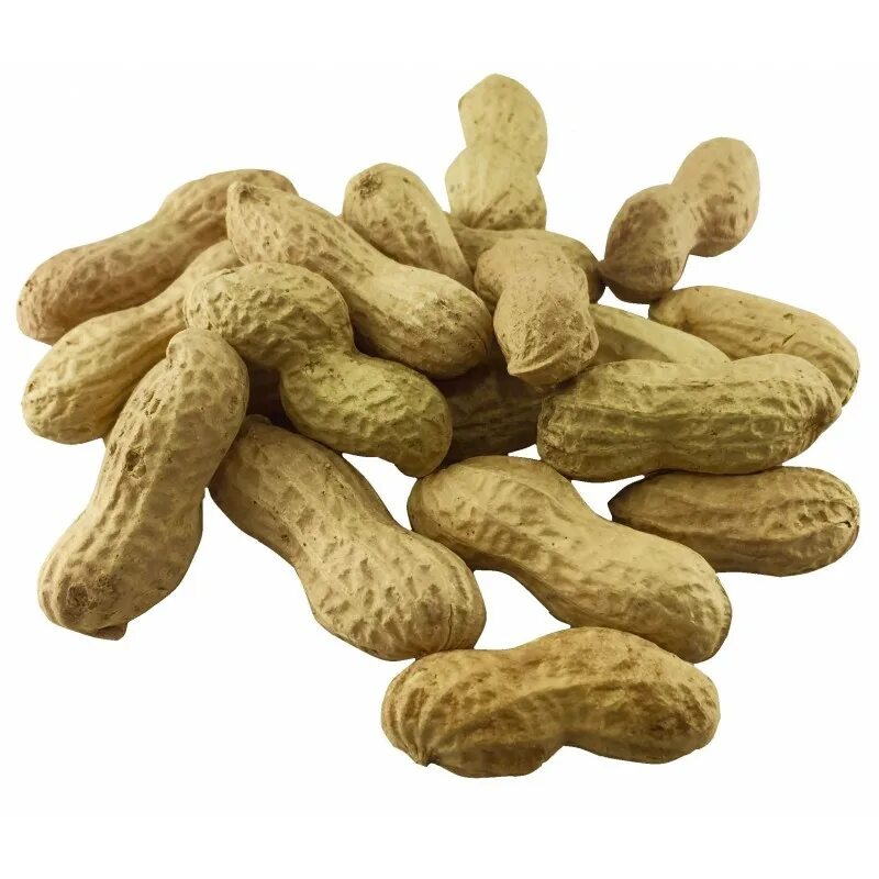 Арахис не очищеный жареный. Арахис в скорлупе жареный. Арахис в скорлупе жареный. Арахис в скорлупе жареный. Арахис в духовке с кожурой.