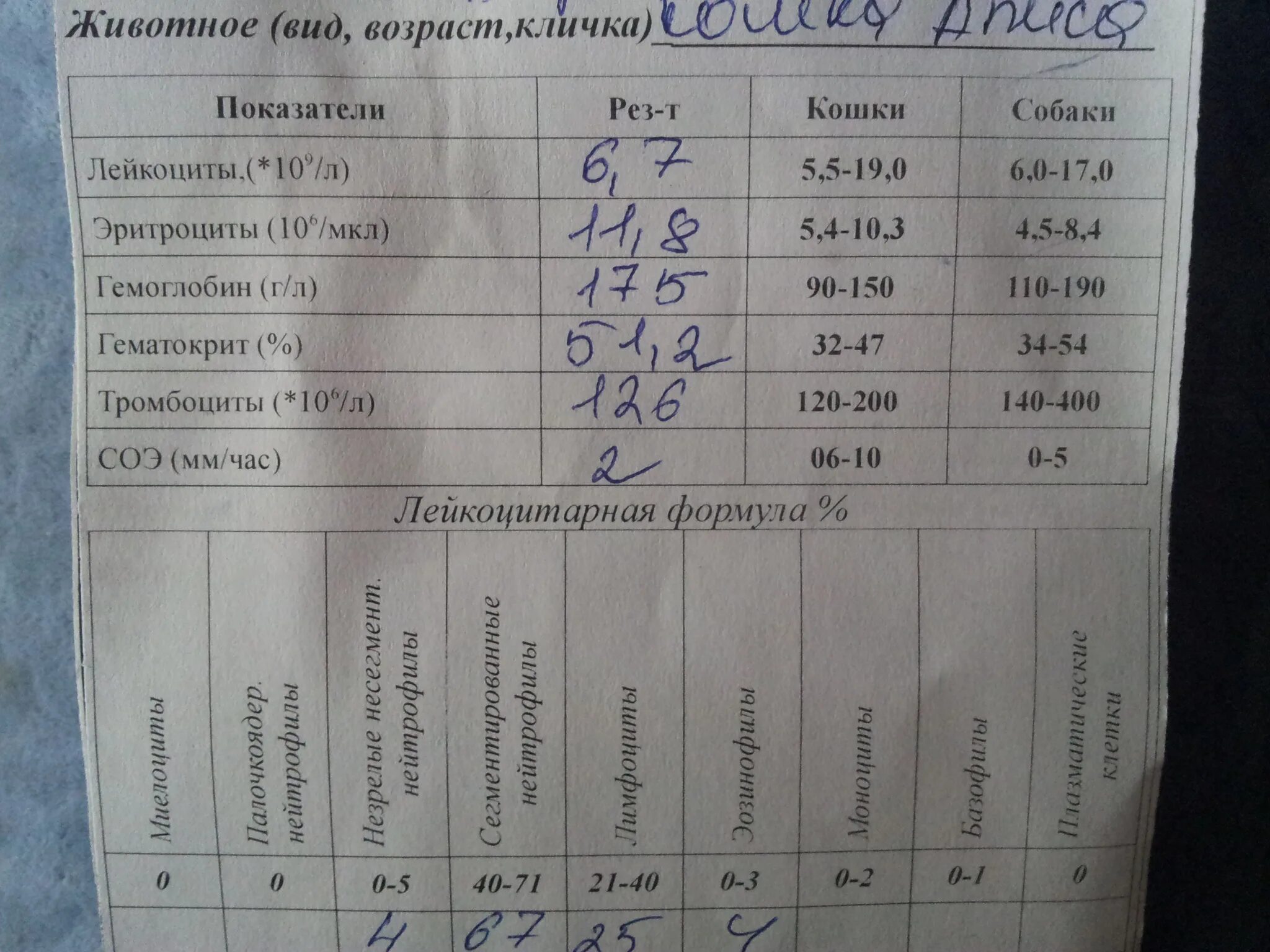 Какие анализы нужно сдавать подростку. Анализы почек. Анализ крови на почки. Плохой анализ крови. Плохие анализы почек.