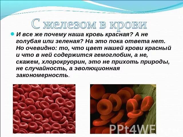 Причины кровяных