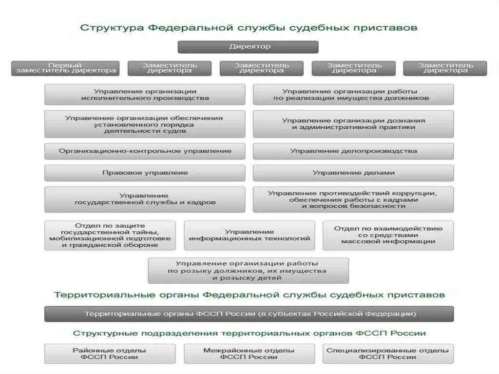 Органы фссп рф. Территориальные органы ФССП России. Компетенция ФССП России. Федеральная служба судебных приставов полномочия. Организация деятельности ФССП России.