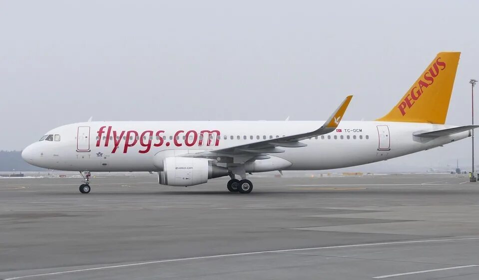 Аэробус а320 Pegasus Airlines. Авиакомпания Пегасус Эйрлайнс. Пегасус Айрлайн. Pegasus Airlines Airbus-320. Pegasus авиакомпания сайт