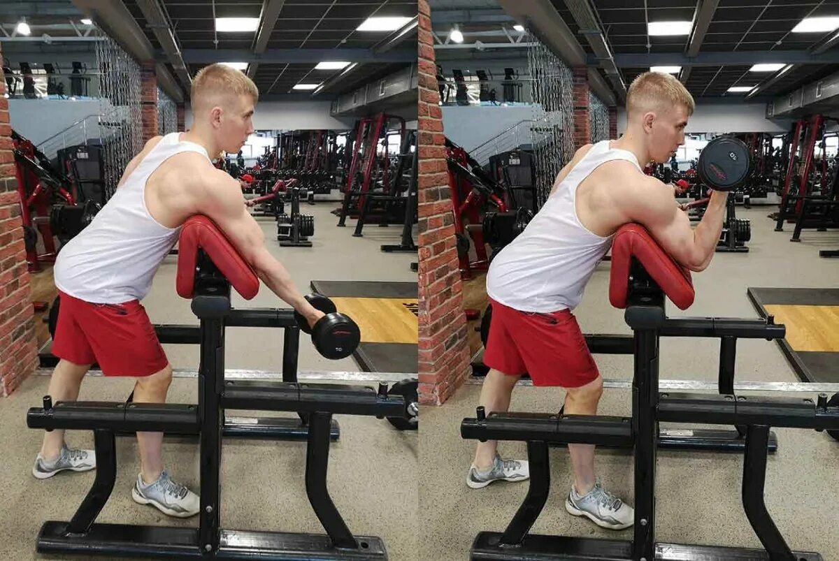 Изолированный бицепс. Подъем штанги на скамье ларри скотта. Концентрированные сгибания на бицепс сидя с гантелями. Бицепс бластер ft ft-blast01. Barbell preacher curl.