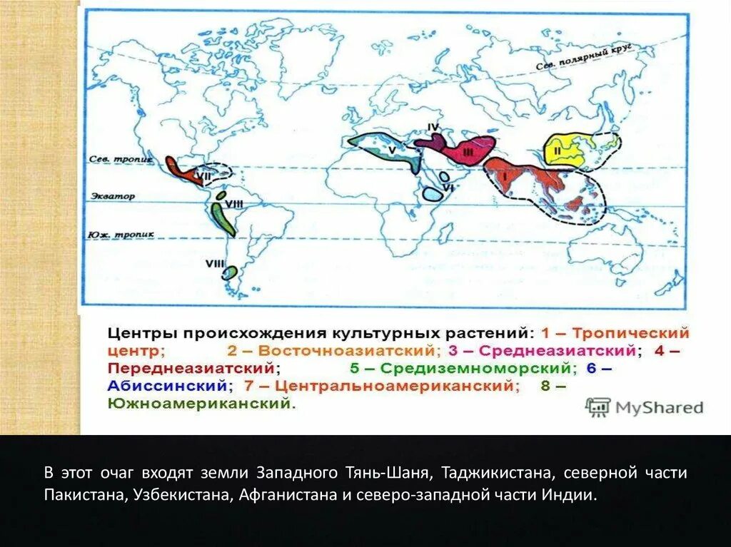 Среднеазиатский центр происхождения культур. Среднеазиатский центр происхождения культурных растений. Центры происхождения культурных растений карта. Переднеазиатский центр происхождения культурных. Восточноазиатский центр происхождения культурных