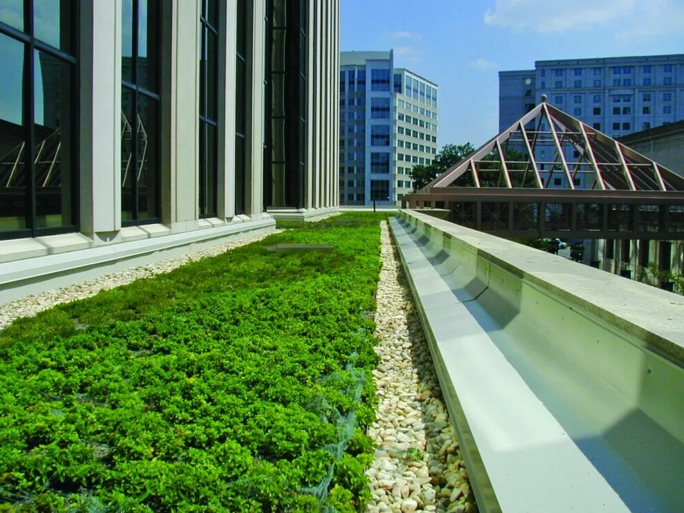 Зеленая крыша читать. Эксплуатируемая плоская кровля Green Roof. Грин-Руф плоские кровли. Грин Руф Москва. Green Roof Тайвань.