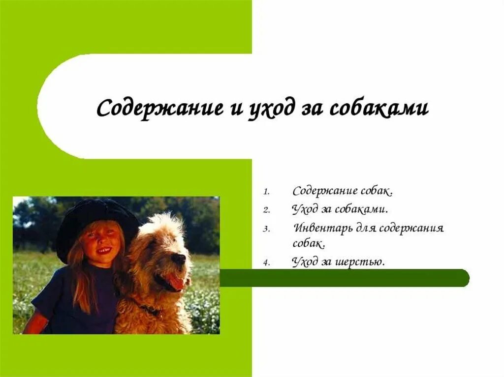 Пес содержание. Способы содержания собак. содержание и уход за собакой. методы содержания и ухода за собаками. методы содержания собак.