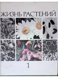 Учебник жизнь растений
